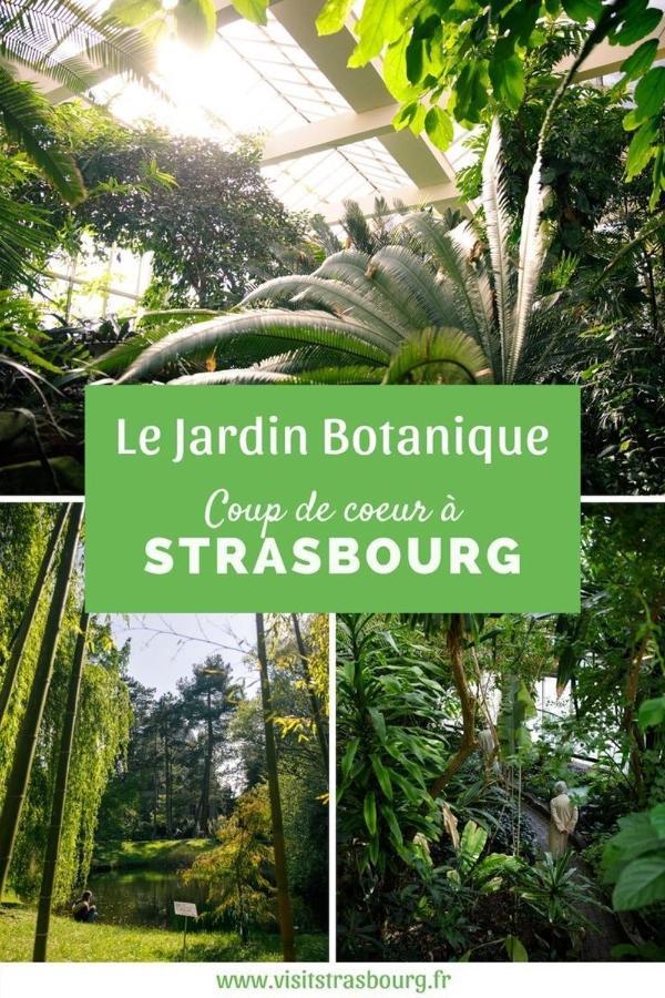 Appartement 6 Personnes Strasbourg Proche Centre Ville & Parking Luaran gambar
